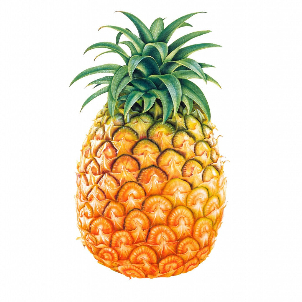 Pen Pineapple